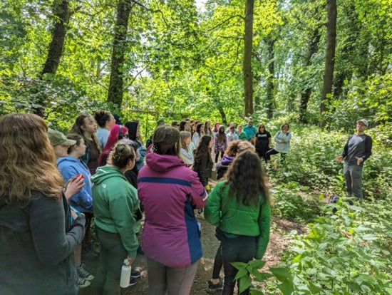 Participants learning to identify edible plants during a foraging course with James Hill