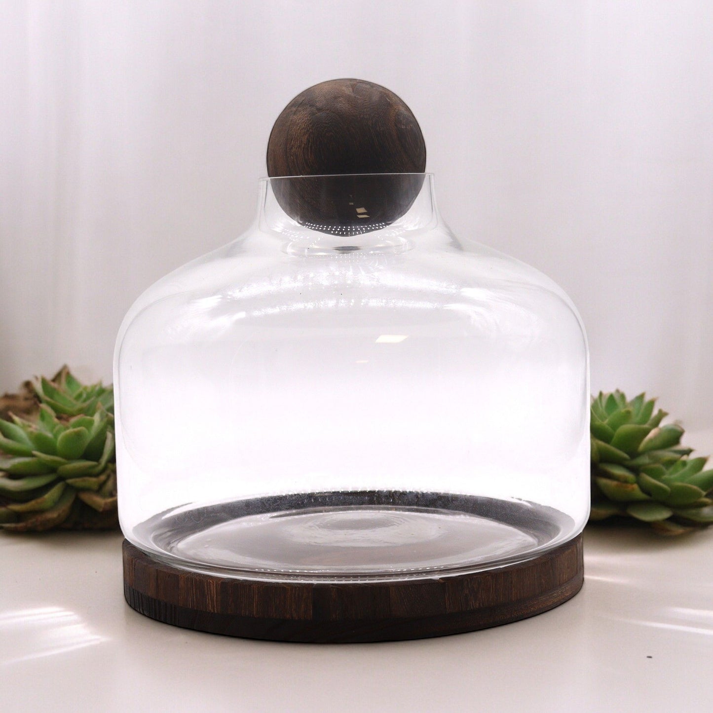 Ex-Large Ball Top Terrarium on Dark Tung Wood