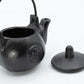 Cast Iron Ritual Pot with Pentagram – Incense & Herb Burner