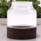 Medium Shaped Terrarium on Dark Tung Wood