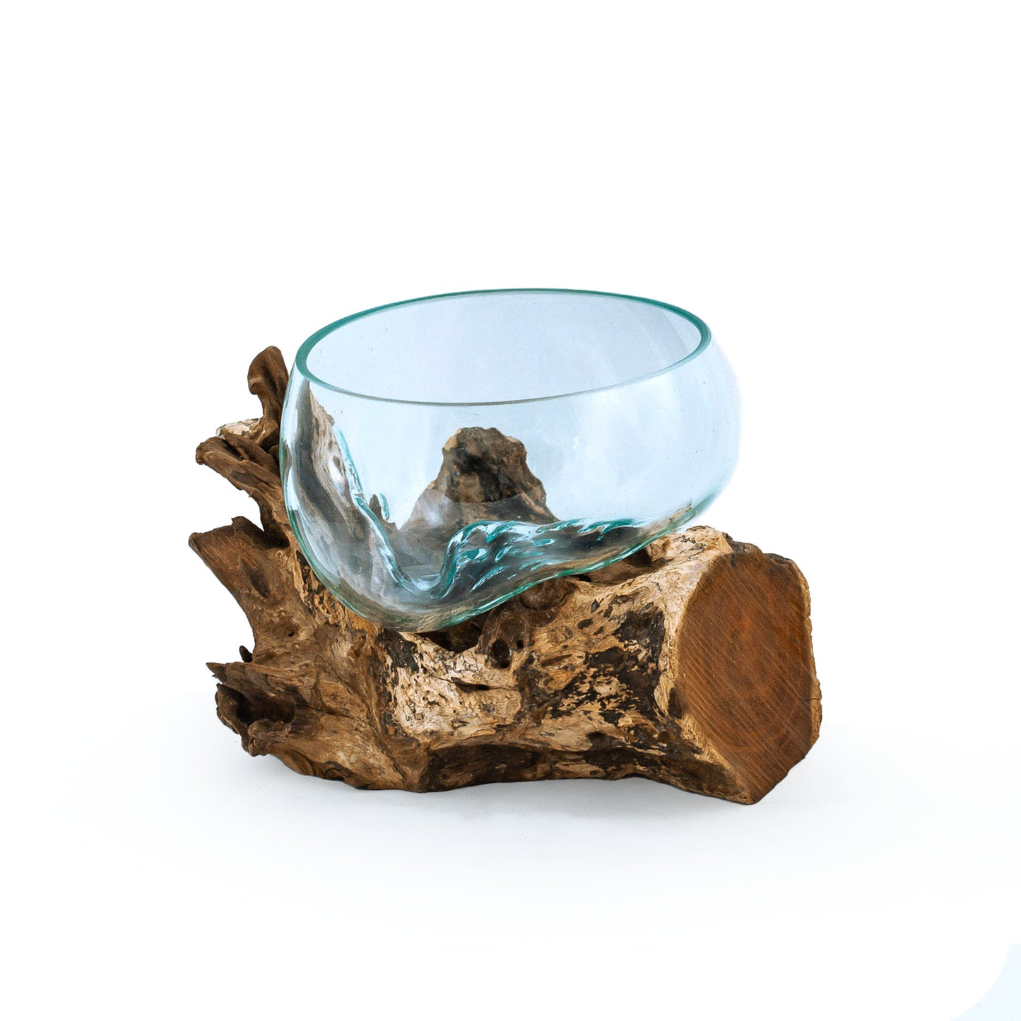 Molten Glass Driftwood Terrarium/Aquarium (Medium Wide)