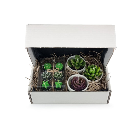 Care package including set of 3 succulent candles and 6 Aloe, Cactus and Succulent tealights