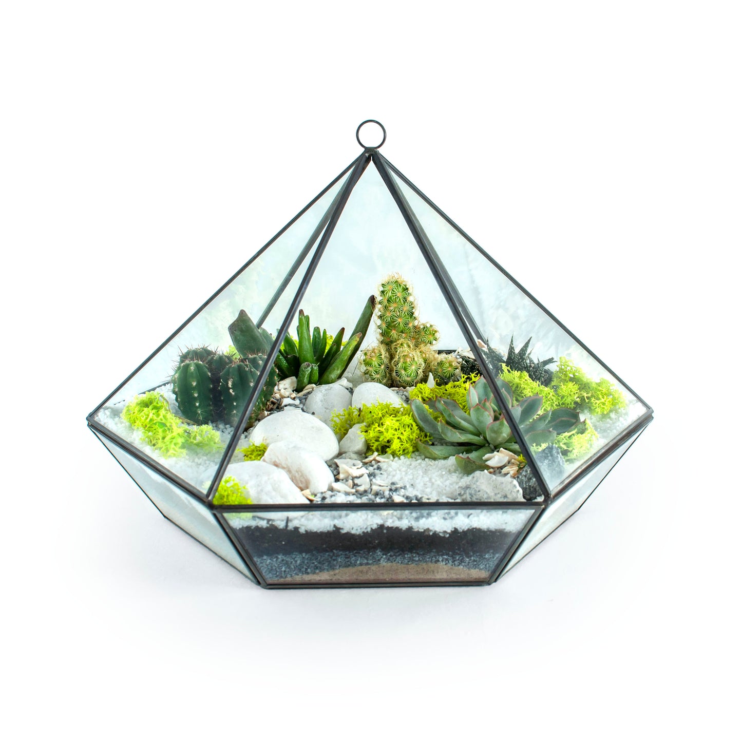 Diamond Glass Terrarium DIY Kit