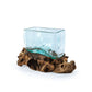 Molten Glass Driftwood Aquarium with Moss Balls (Rectangle)