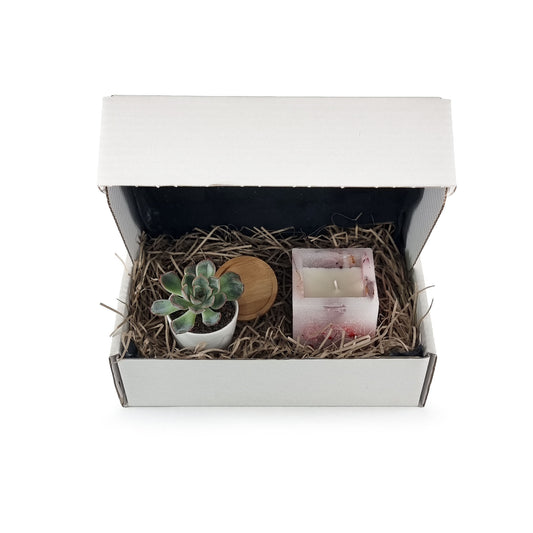 Care package including botanical enchanted rose candle with plant, pot and drip tray