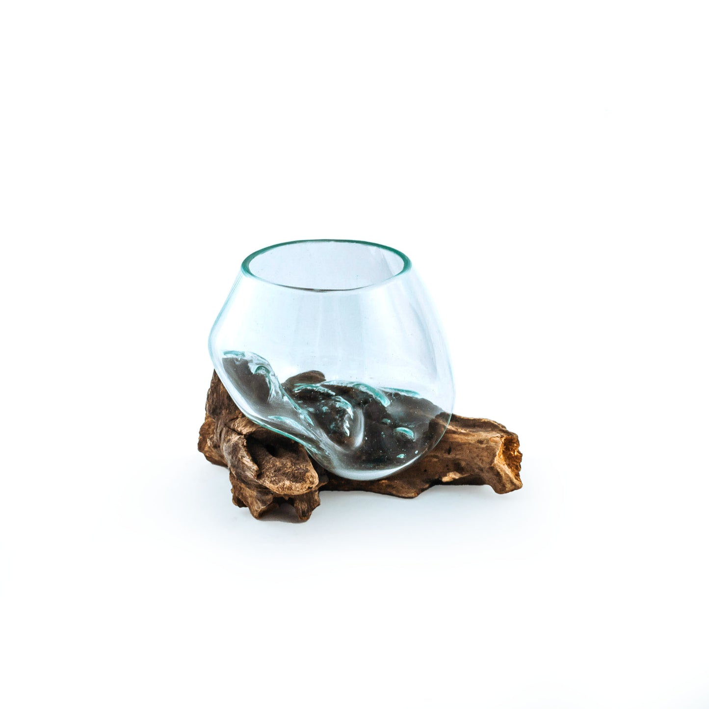 Molten Glass Driftwood Aquarium with Moss Balls (Small)