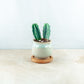 Plant & pot (white and blue gloss drip)