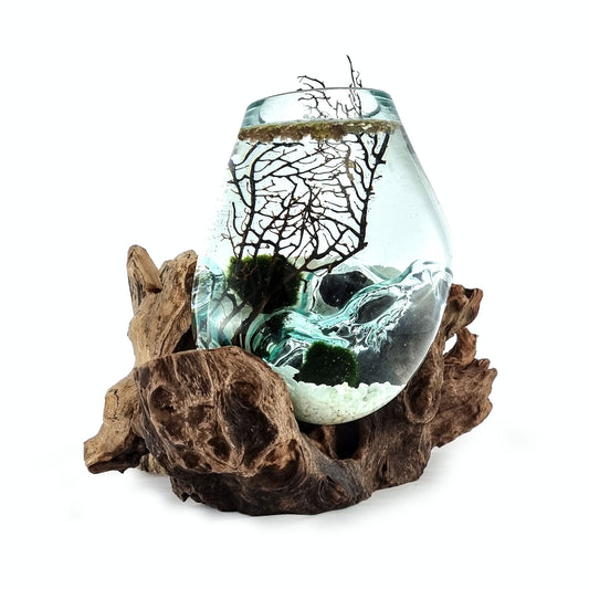 Driftwood Molten Glass Driftwood Aquarium with Moss Balls (Extra Large)
