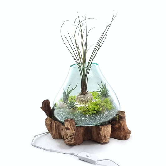 Driftwood Molten Glass Terrarium/Aquarium with light cavity (Extra Large Tall)