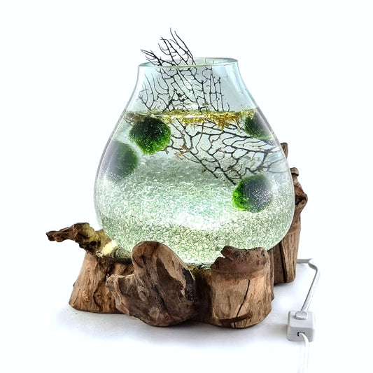 Extra Large Driftwood Molten Glass Aquarium (with light cavity)