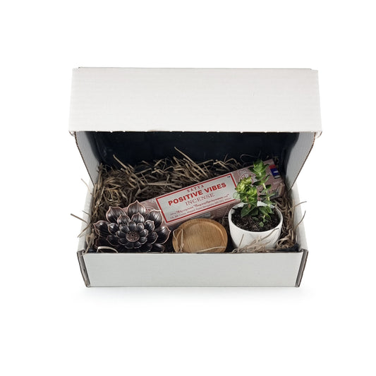 Care package with incense and lotus flower holder with plant, pot and drip tray