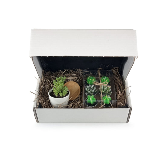   A white postal box containing shredded paper, a succulent in a white pot with a bamboo drip tray and a pack of 6 tealights in succulent, aloe and cactus shapes