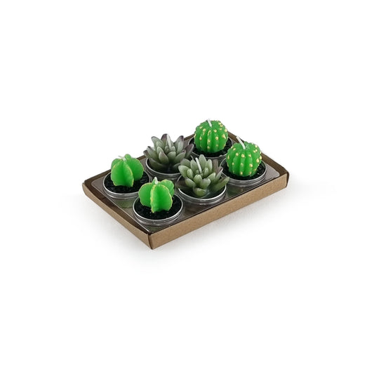 A pack of 6 tealights in succulent, aloe and cactus shapes